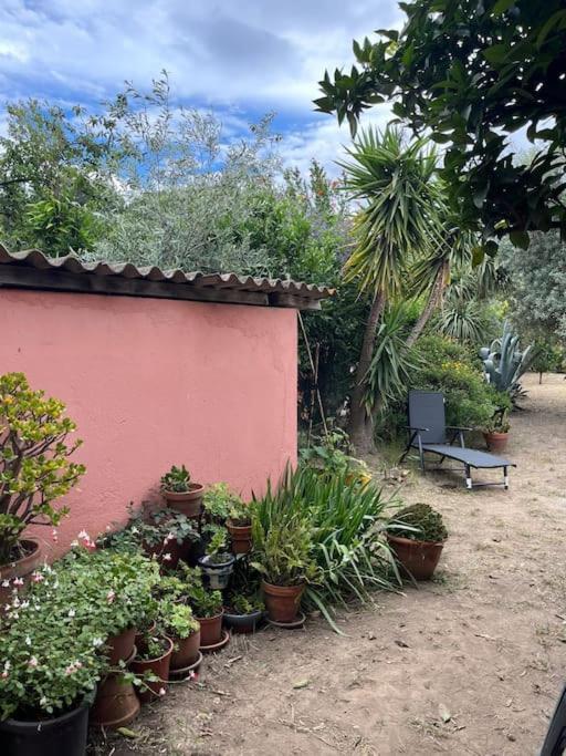 Maison De Village Vintage Avec Grand Jardin Elne Eksteriør bilde
