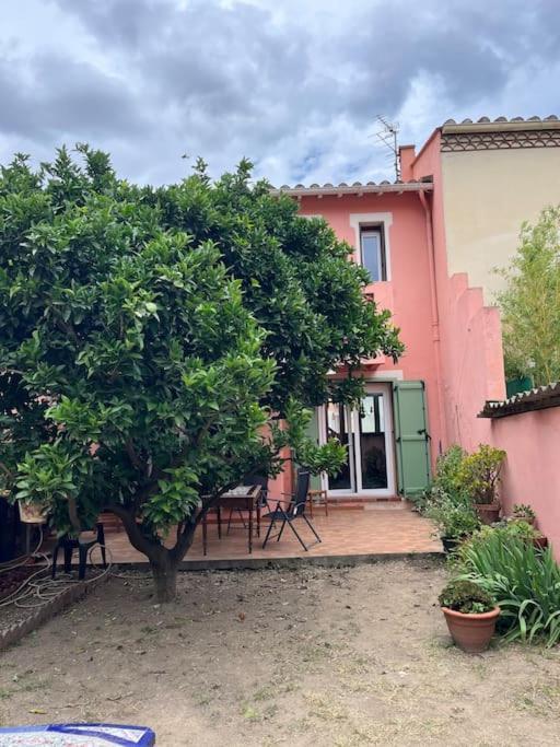 Maison De Village Vintage Avec Grand Jardin Elne Eksteriør bilde