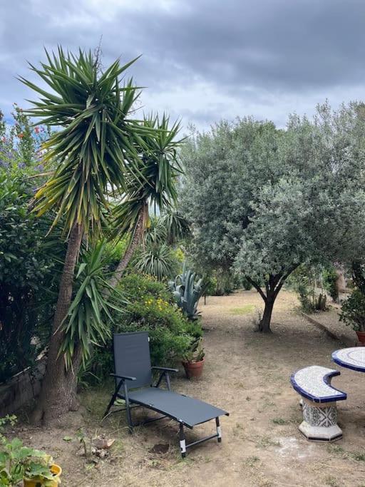 Maison De Village Vintage Avec Grand Jardin Elne Eksteriør bilde