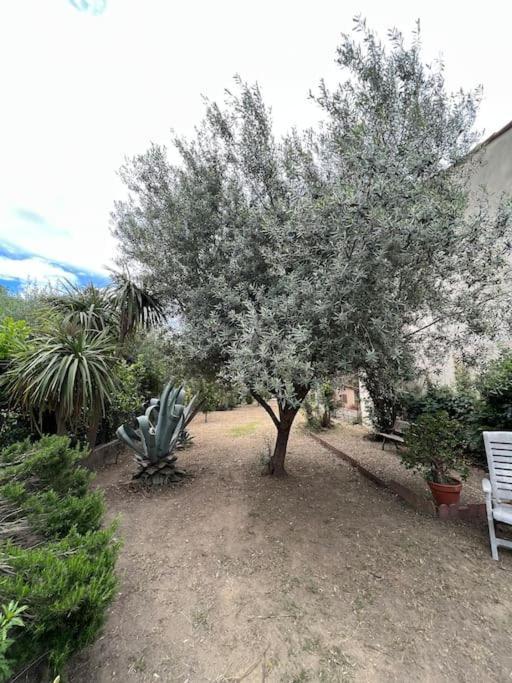 Maison De Village Vintage Avec Grand Jardin Elne Eksteriør bilde
