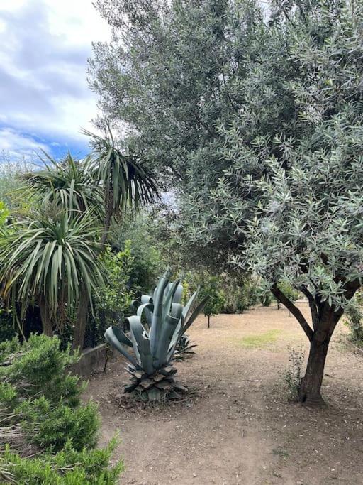 Maison De Village Vintage Avec Grand Jardin Elne Eksteriør bilde